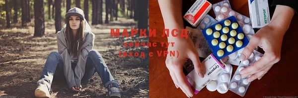 бошки Арсеньев