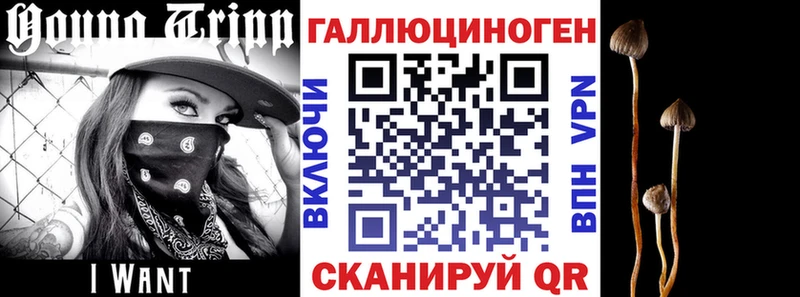 как найти   Артёмовский  Галлюциногенные грибы мицелий 